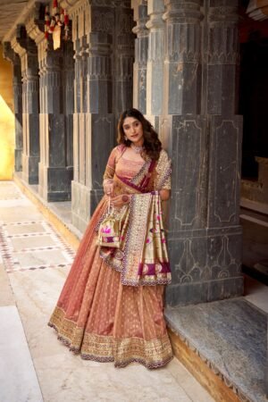 this shimmer organza lehenga choli adorned with zari weaving and delicate lace borders brings timeless elegance to every festive moment lnb2032pec